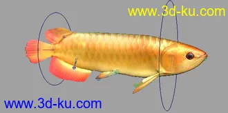 3D打印模型金龙鱼 绑定好的的图片