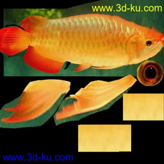 3D打印模型金龙鱼 绑定好的的图片