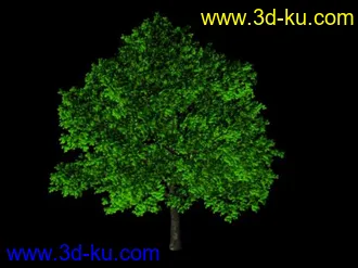 3D打印模型10棵maya精致高模的树（附加材质贴图）的图片