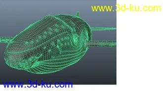 3D打印模型海洋鱼类的图片