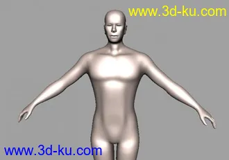 3D打印模型男人体的图片