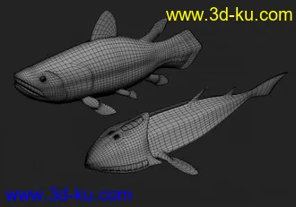 3D打印模型总鳍鱼的图片