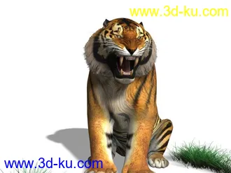 3D打印模型一头绑定后的小老虎的图片