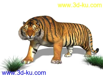 3D打印模型一头绑定后的小老虎的图片