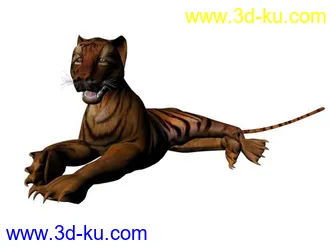 3D打印模型一头绑定后的小老虎的图片