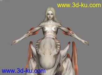 Chairs超级经典游戏人物模型带贴图的图片