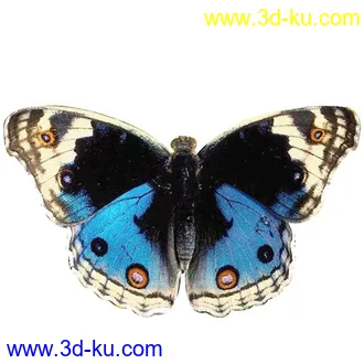 3D打印模型蝴蝶带动画的图片