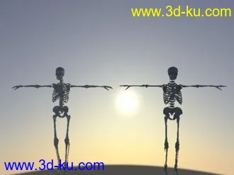 3D打印模型骨骼的图片