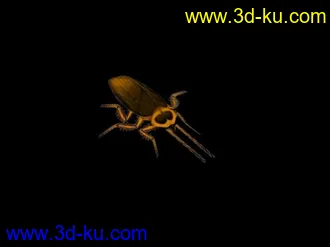 3D打印模型小强蟑螂的图片