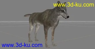 3D打印模型狼的图片