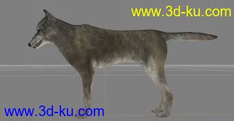 3D打印模型狼的图片