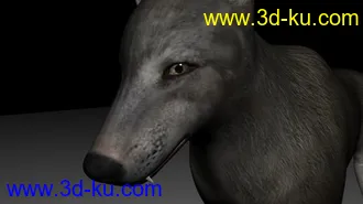 3D打印模型狼的图片