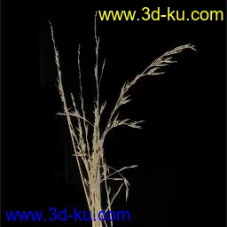 3D打印模型废墟的图片
