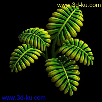 3D打印模型植物的图片