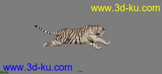3D打印模型带贴图的老虎的图片