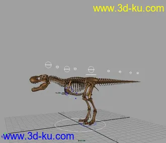 3D打印模型骷髅龙的图片