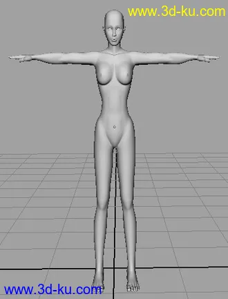 3D打印模型女人体的图片