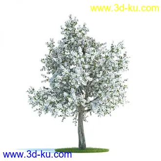 3D打印模型浪漫花树的图片