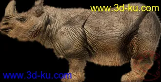 3D打印模型犀牛，带贴图绑定的图片