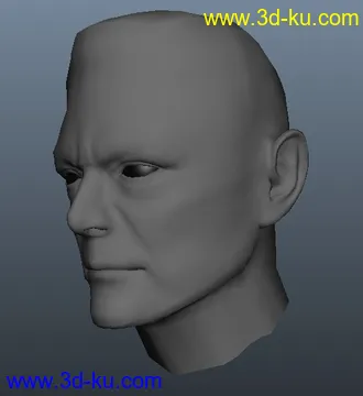 3D打印模型人头的图片