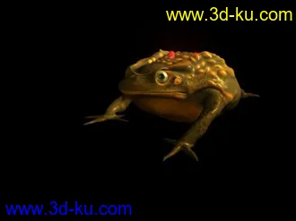 3D打印模型三角金蝉～的图片