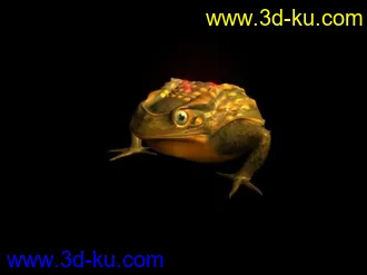3D打印模型三角金蝉～的图片