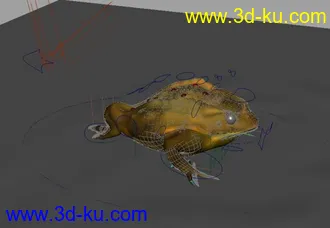 3D打印模型三角金蝉～的图片