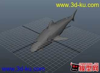 3D打印模型shark鲨鱼的图片