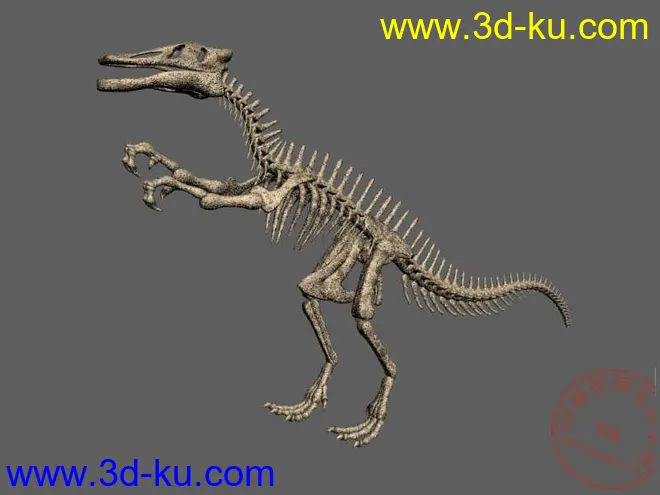 4个恐龙骨架模型max（山东龙 永川龙 青岛龙 霸王龙） 仅一个包的图片1