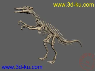 4个恐龙骨架模型max（山东龙 永川龙 青岛龙 霸王龙） 仅一个包的图片