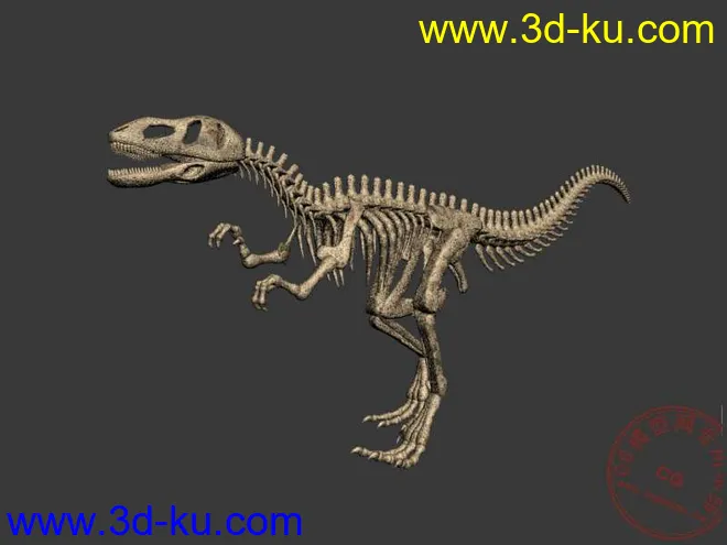 4个恐龙骨架模型max（山东龙 永川龙 青岛龙 霸王龙） 仅一个包的图片2
