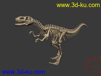4个恐龙骨架模型max（山东龙 永川龙 青岛龙 霸王龙） 仅一个包的图片