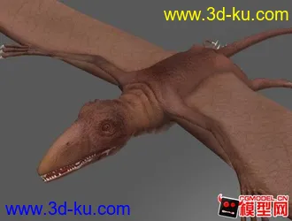 真双齿翼龙及其骨架模型max  4096皮肤和法线凹凸的图片