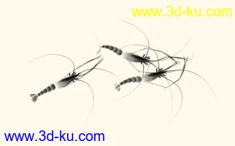 3D打印模型水墨虾的图片
