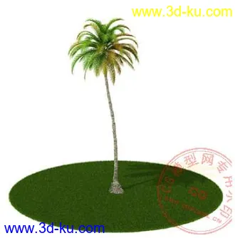3D打印模型椰树的图片