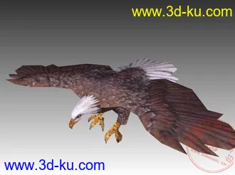 3D打印模型带骨骼动画的飞翔雄鹰（游戏用低模）的图片