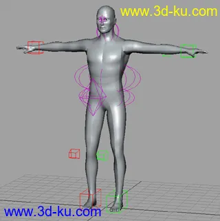 3D打印模型Male Rig的图片