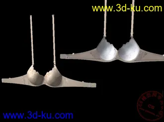 3D打印模型发个女士内衣的图片