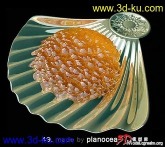 3D打印模型贝壳型盘子的图片