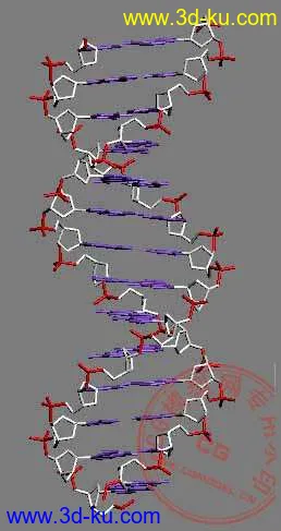 DNA 分子模型（感谢大家分享这一切！）的图片