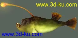3D打印模型发条鲜鱼，绝对新鲜，你没见过的~的图片