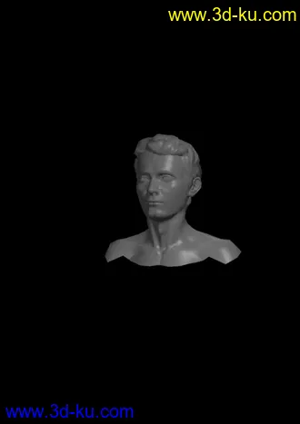 3D打印模型david的图片