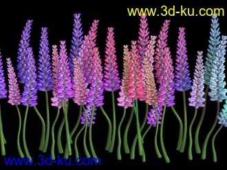 3D打印模型薰衣草的图片