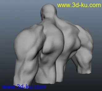 3D打印模型自己做的一个半身人物肌肉，第一次做，ZB原文件的图片