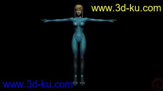 3D打印模型SSB Brawl Zero Suit Samus的图片