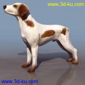 3D打印模型狗。兔子。老鹰。蝴蝶等的图片