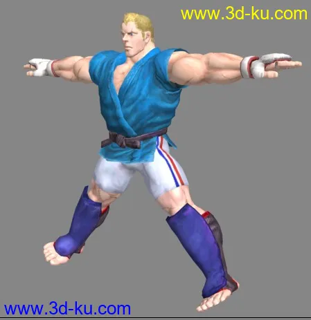 拳皇《街霸4》模型合集，共25个角色 标姿带贴图的图片14