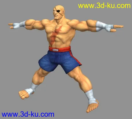 拳皇《街霸4》模型合集，共25个角色 标姿带贴图的图片20