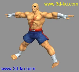 拳皇《街霸4》模型合集，共25个角色 标姿带贴图的图片