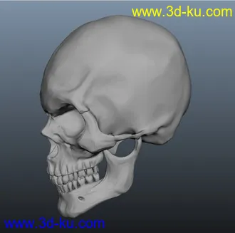 3D打印模型发一个小物件，骷髅头骨，自己做的的图片